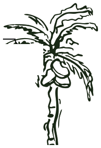 Hand-drawn ink palm tree